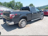 Ford F-150 Fx4/Harley-Davidson/King Ranch/Lariat/Platinum/Xl/Xlt 1FTFW1EVXAFC38620 снимка