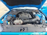 Ford Mustang Ecoboost 1FA6P8TH1H5291425 снимка