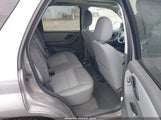 Ford Escape Xlt/Xlt Sport 1FMYU03187KA14587 снимка