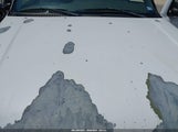 GMC Sierra  Work Truck 1GTEC14X15Z323583 снимка