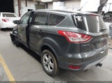 Ford Escape Se 1FMCU9G95FUB93995 fotografie