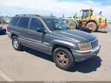 Jeep Grand Cherokee Sport 1J4GX38S82C170992 fotografie