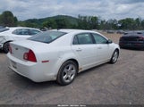 Chevrolet Malibu Ls 1G1ZB5E16BF210529 снимка