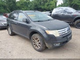 Ford Edge Sel 2FMDK38C27BA80014 fotografie