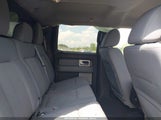 Ford F-150 Xlt 1FTFW1EF4BFA04631 снимка