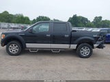 Ford F-150 Fx4/Harley-Davidson/King Ranch/Lariat/Platinum/Xl/Xlt 1FTFW1EV0AFD79017 снимка