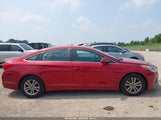 Hyundai Sonata Se 5NPE24AF6GH323542 снимка