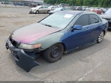 Acura Tsx JH4CL96884C032011 снимка
