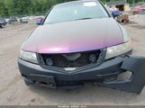 Acura Tsx JH4CL96884C032011 снимка