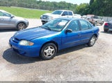 Chevrolet Cavalier 1G1JC52F257120884 снимка