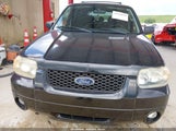 Ford Escape Xlt/Xlt Sport 1FMYU03157KA93457 photo