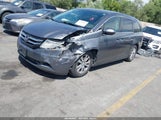 Honda Odyssey Ex-L 5FNRL5H68HB016111 снимка