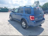 Ford Escape Xlt 1FMCU0DG1AKC18202 снимка