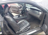 Ford Mustang Gt Deluxe/Gt Premium 1ZVHT82H175302550 photo