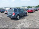 Ford Escape Xlt 1FMCU0DG7BKC14107 снимка