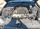 Ford Mustang Ecoboost Fastback 1FA6P8TH9L5135531 снимка