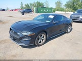 Ford Mustang Ecoboost Fastback 1FA6P8TH9L5135531 снимка