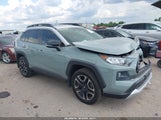 Toyota Rav4 Adventure 2T3J1RFVXKW028377 снимка