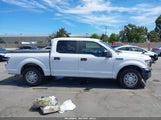 Ford F-150 Xl 1FTEW1CPXJKE94943 photo
