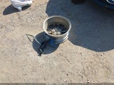 Hyundai Sonata Eco 5NPE24AA4FH133712 снимка