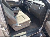 Ford F-150 Xl/Xlt 1FTRW12889FA07769 photo