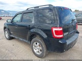 Ford Escape Limited 1FMCU94118KC79866 снимка