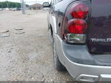 Chevrolet Trailblazer Lt 1GNDT13S782225261 снимка