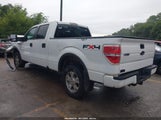 Ford F-150 Fx4/King Ranch/Lariat/Platinum/Xl/Xlt 1FTPW14V99KC71553 fotografie