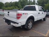 Ford F-150 Fx4/King Ranch/Lariat/Platinum/Xl/Xlt 1FTPW14V99KC71553 снимка