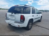 Chevrolet Trailblazer Ls 1GNDT13S852232294 снимка