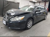 Nissan Altima 2.5/2.5 S/2.5 Sl/2.5 Sr/2.5 Sv 1N4AL3AP8GC242946 photo