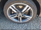 Audi A4 2.0T Premium WAUENAF44HN055229 снимка