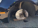 Audi A4 2.0T Premium WAUENAF44HN055229 снимка