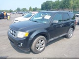 Ford Escape Xlt 1FMCU9D78BKA85797 fotografie