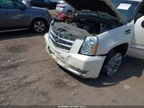 Cadillac Escalade Platinum Edition 1GYS4DEF8BR380506 снимка