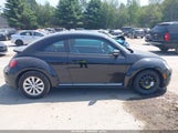 Volkswagen Beetle 2.0T Final Edition Se/2.0T Final Edition Sel/2.0T S 3VWFD7AT1KM709582 fotografie