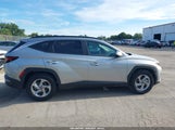 Hyundai Tucson Sel 5NMJB3DE4RH384769 снимка