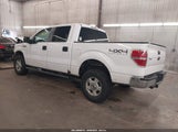 Ford F-150 Xlt 1FTFW1EF4EKG05646 снимка