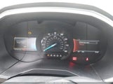 Ford Edge Sel 2FMPK4J97HBC28225 fotografie