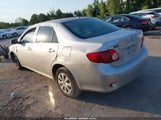 Toyota Corolla Le 2T1BU4EE6AC352774 fotografie