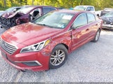 Hyundai Sonata 5NPE24AF7GH390215 снимка