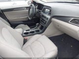 Hyundai Sonata Sport 5NPE34AF0GH428266 fotografie