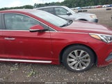 Hyundai Sonata Sport 5NPE34AF0GH428266 photo