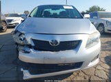 Toyota Corolla Le 2T1BU4EE3AC534156 снимка