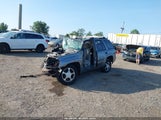 Chevrolet Trailblazer Ls 1GNDT13S752120313 снимка