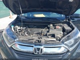 Honda Cr-V Lx 2HKRW6H3XJH209077 photo
