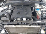 Audi A4 2.0T Premium WAUBFAFL6AA051543 снимка