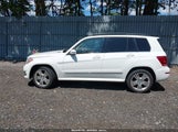 MERCEDES-BENZ GLK 250 BLUETEC 4MATIC WDCGG0EB8FG339748 fotografie