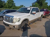Ford F-150 Fx4/Harley-Davidson/King Ranch/Lariat/Platinum/Xl/Xlt 1FTFW1EV7AFA18870 снимка