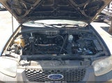 Ford Escape Xlt 1FMCU93Z17KA31686 снимка